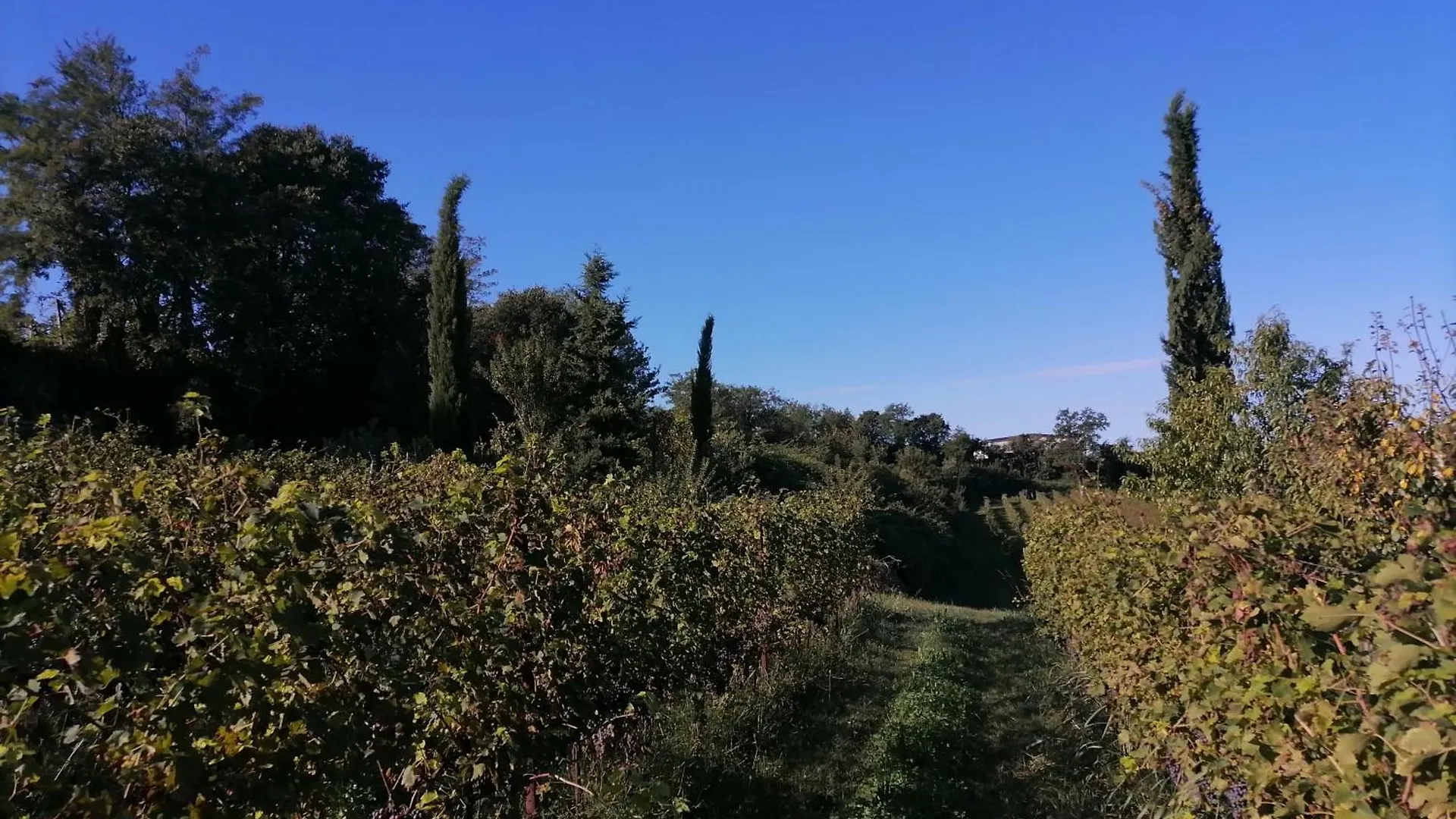 Relais Ca' Morenica Valeggio sul Mincio Vakantieboerderij