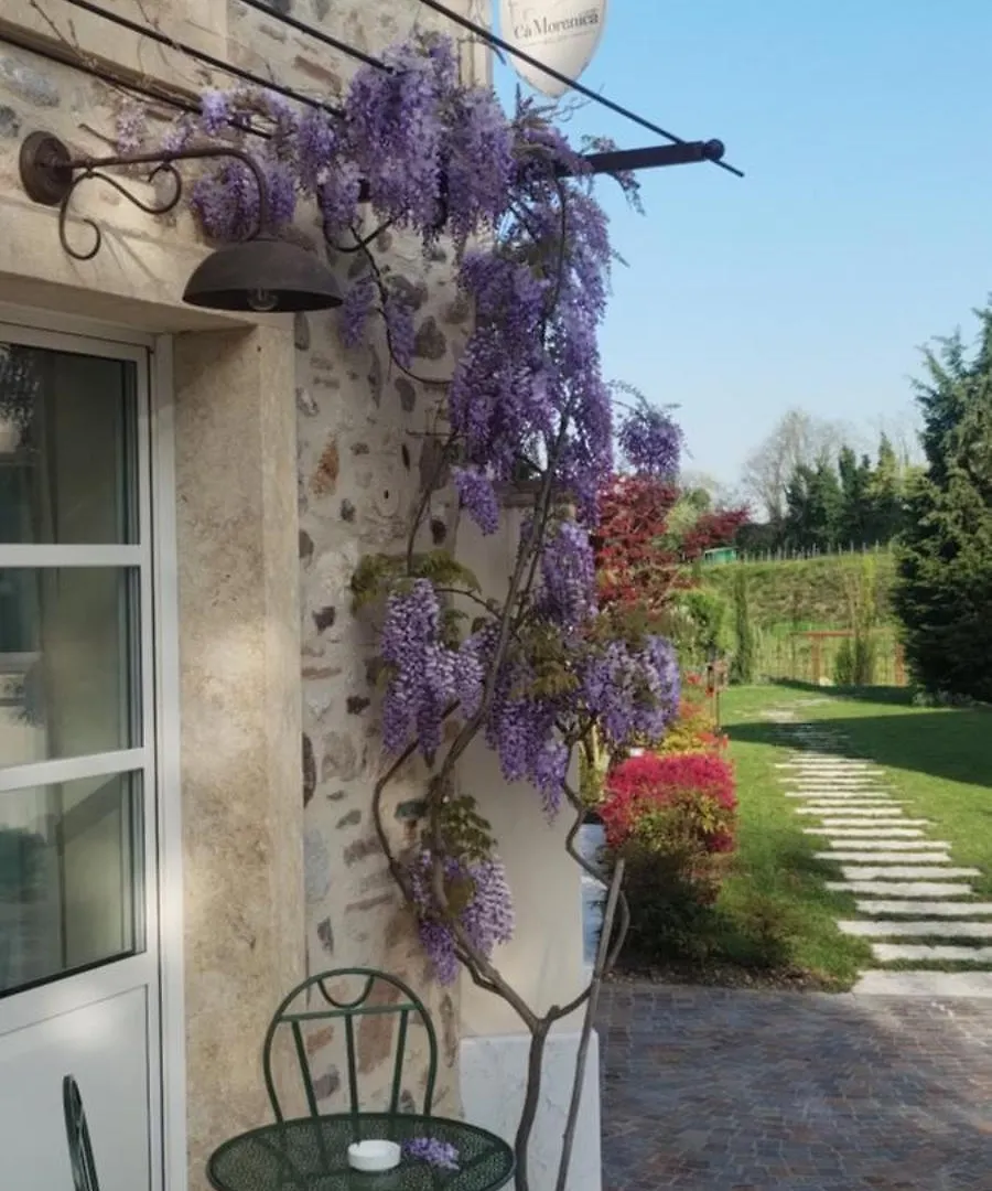 Relais Ca' Morenica Valeggio sul Mincio Séjour à la ferme