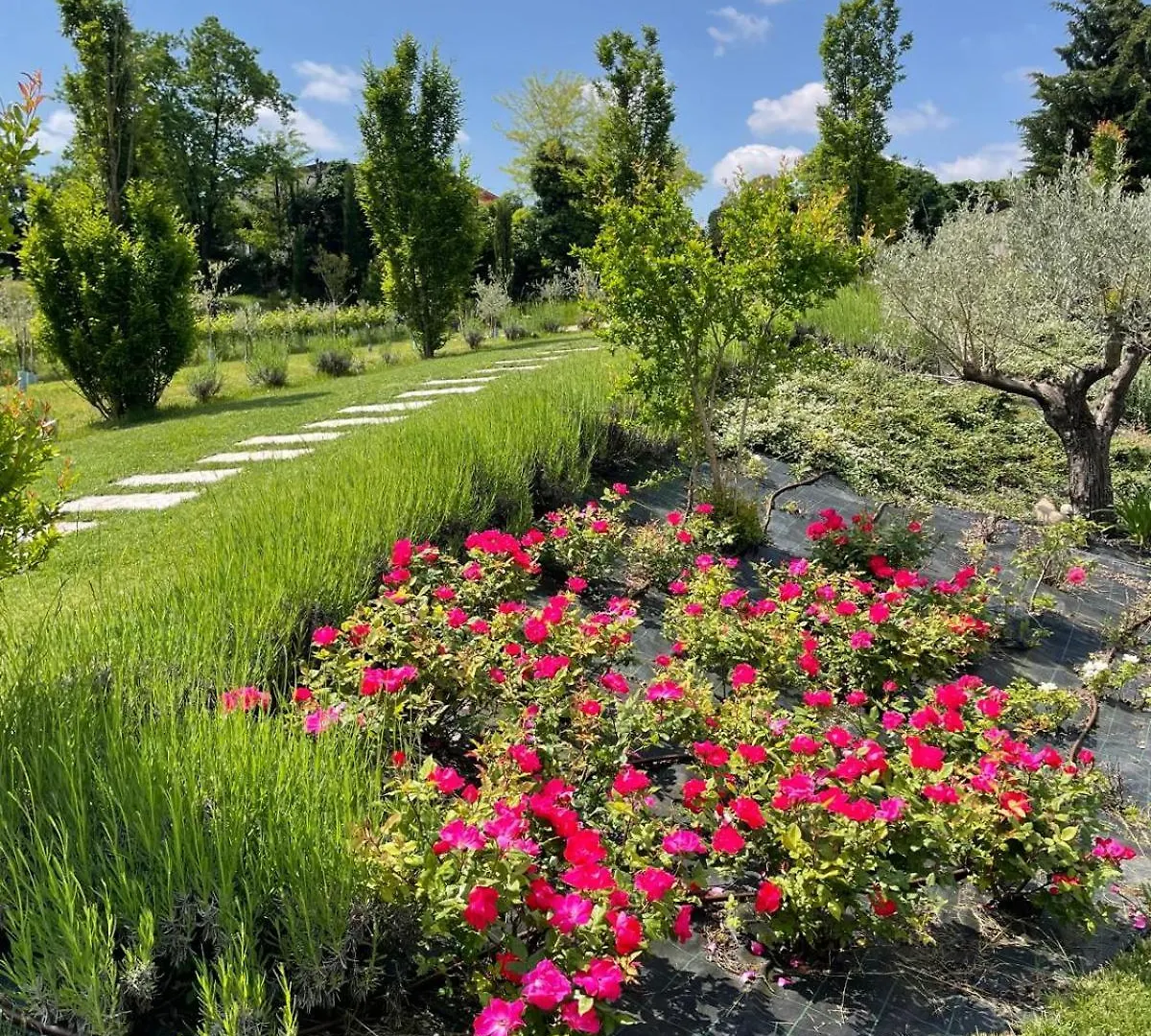 Relais Ca' Morenica Valeggio sul Mincio Vakantieboerderij